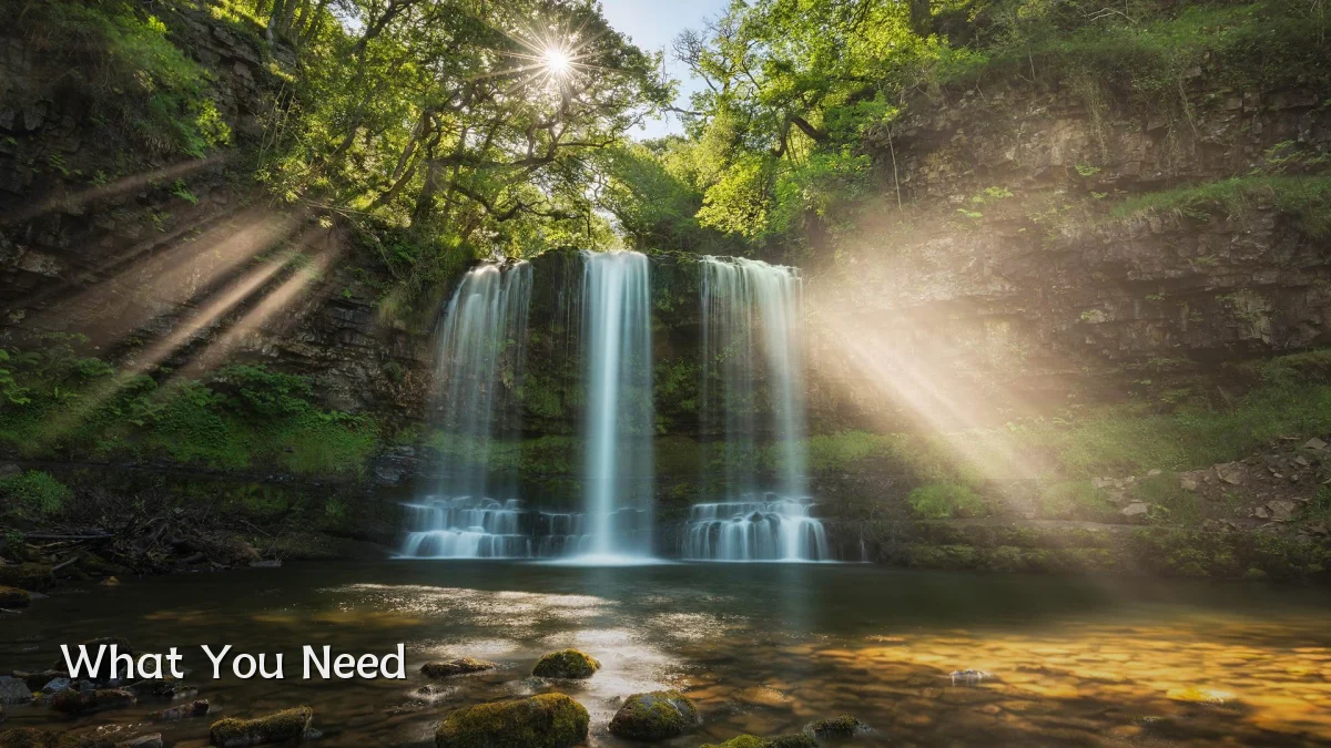 What You Need