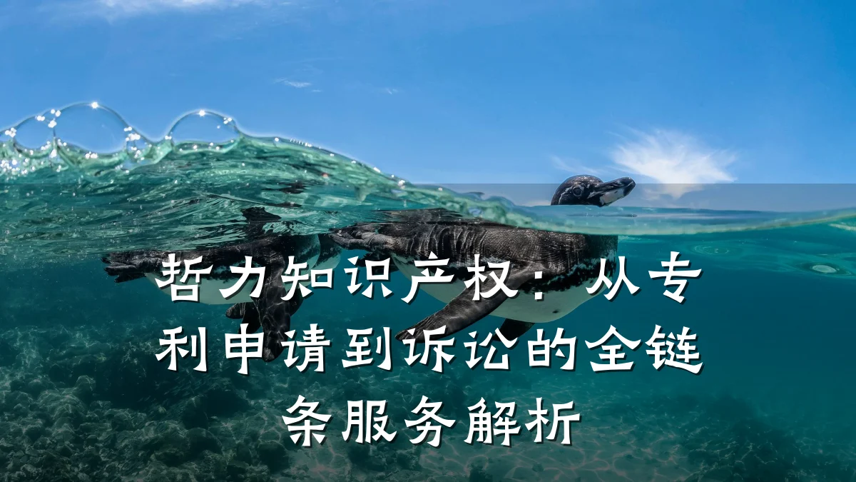 哲力知识产权:从专利申请到诉讼的全链条服务解析