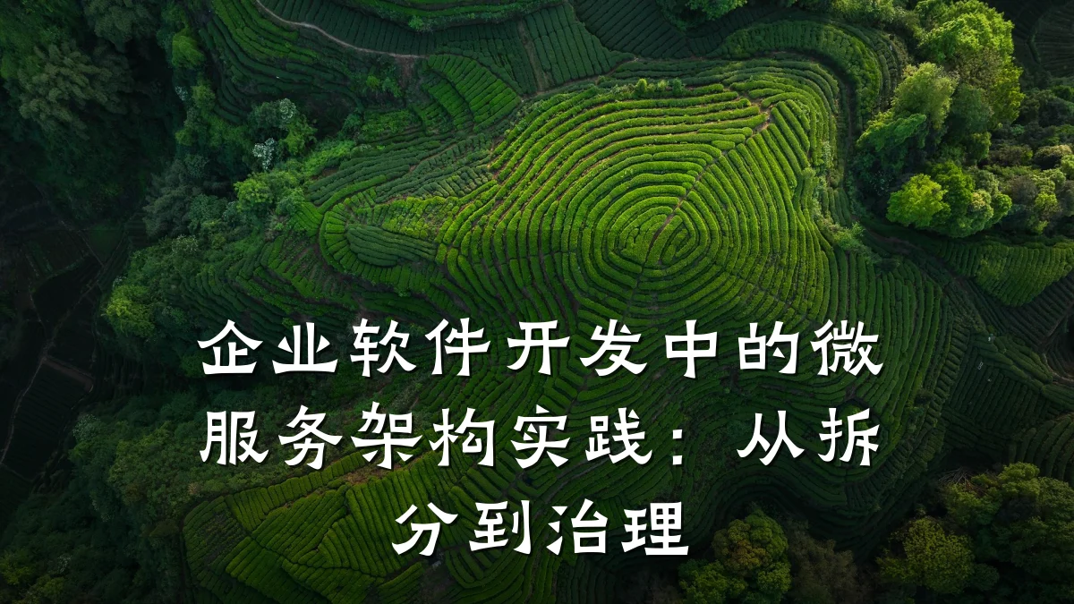企业软件开发中的微服务架构实践:从拆分到治理