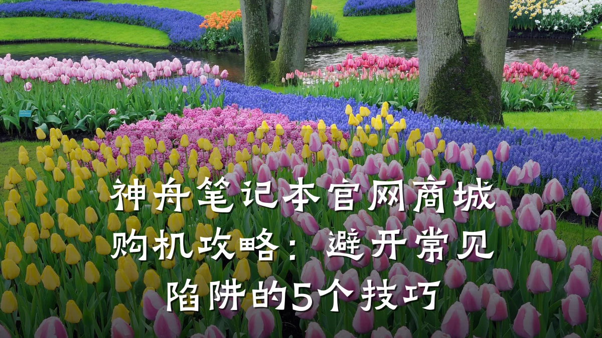 神舟笔记本官网商城购机攻略：避开常见陷阱的5个技巧