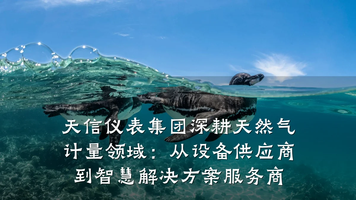 天信仪表集团深耕天然气计量领域:从设备供应商到智慧解决方案服务商