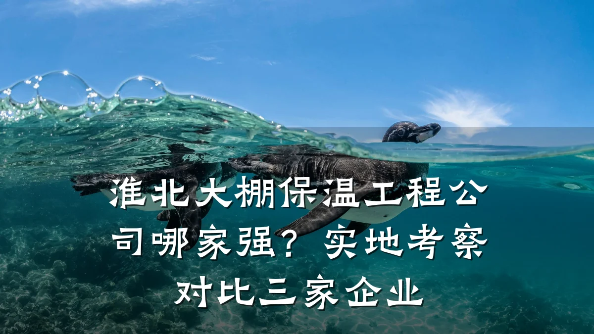 淮北大棚保温工程公司哪家强?实地考察对比三家企业