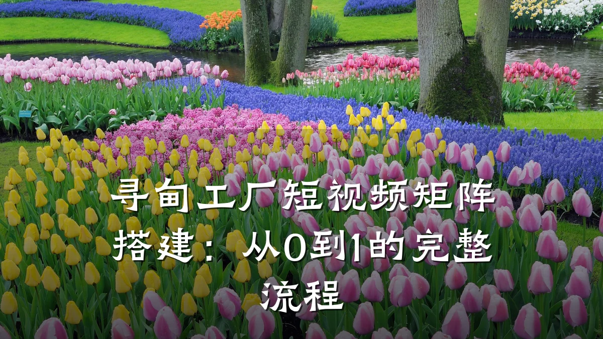 寻甸工厂短视频矩阵搭建:从0到1的完整流程