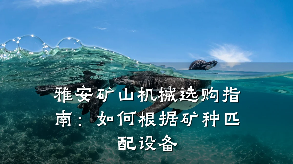 雅安矿山机械选购指南:如何根据矿种匹配设备