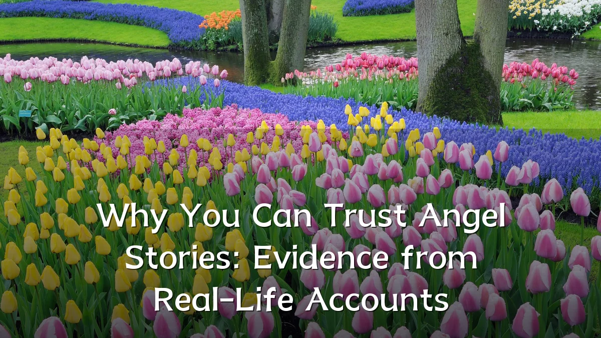 Why You Can Trust Angel Stories: Evidence from Real-Life Accounts