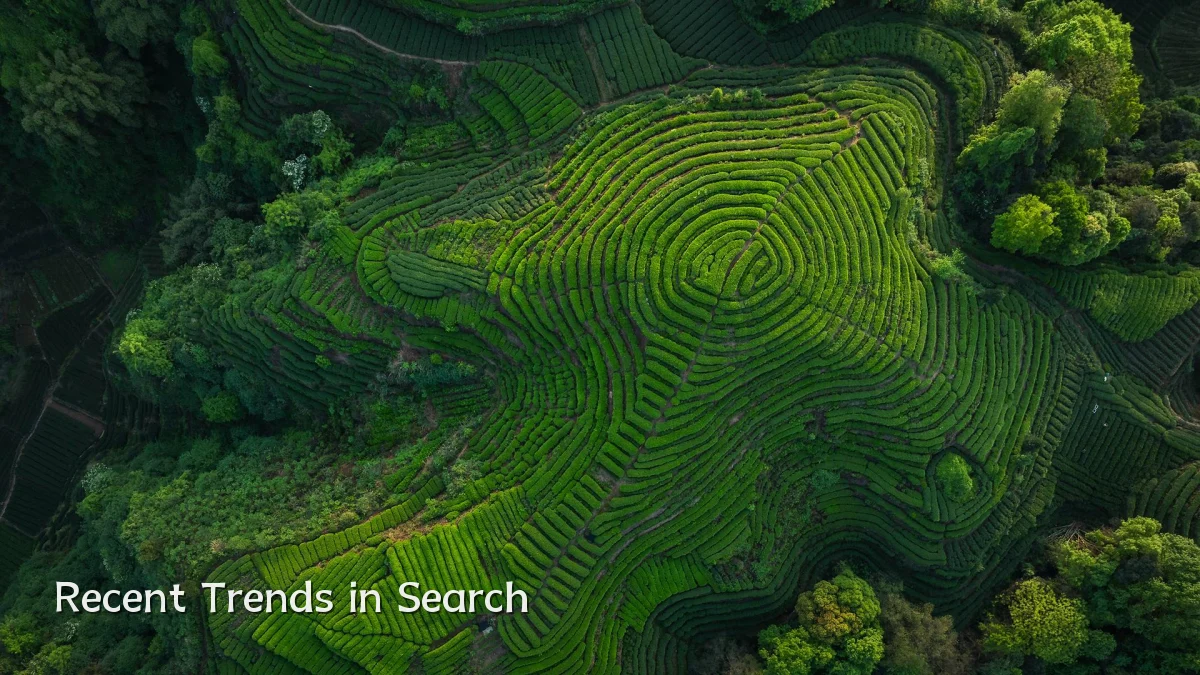 Recent Trends in Search