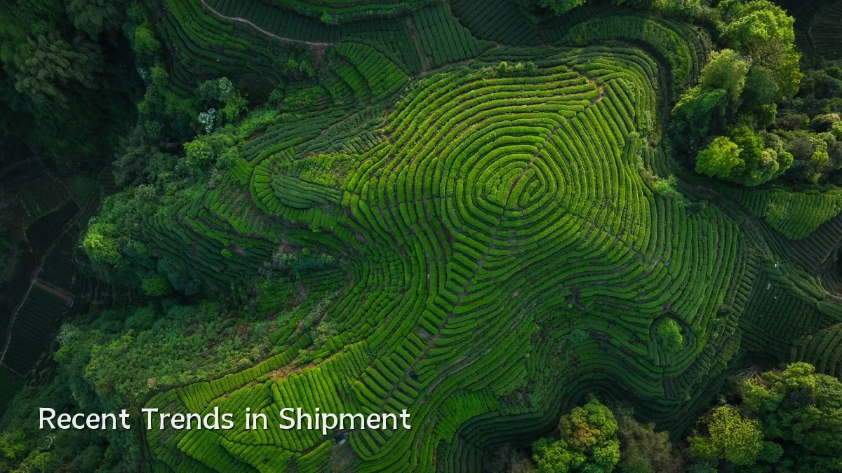 Recent Trends in Shipment