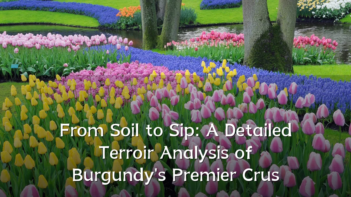From Soil to Sip: A Detailed Terroir Analysis of Burgundy's Premier Crus