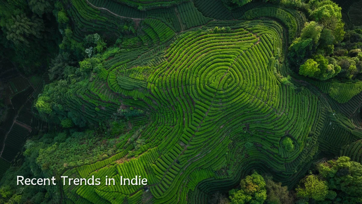 Recent Trends in Indie
