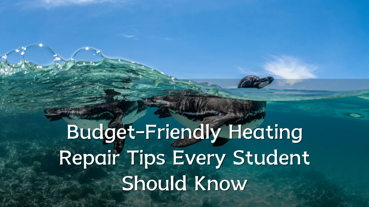 Budget-Friendly Heating Repair Tips Every Student Should Know