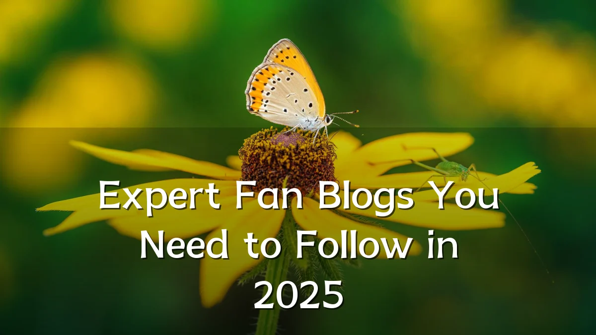 Expert Fan Blogs You Need to Follow in 2025