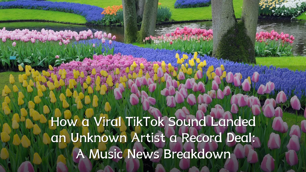 How a Viral TikTok Sound Landed an Unknown Artist a Record Deal: A Music News Breakdown