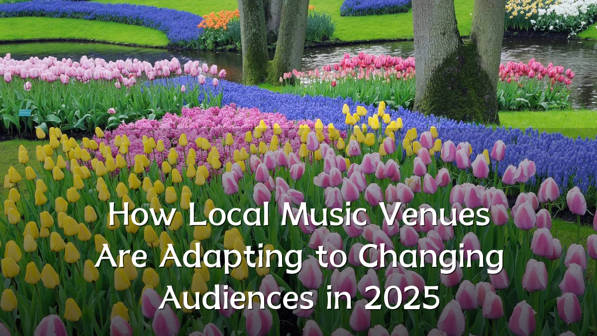 How Local Music Venues Are Adapting to Changing Audiences in 2025