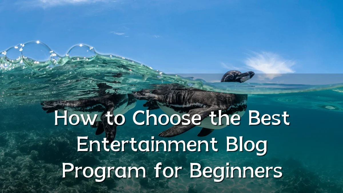 How to Choose the Best Entertainment Blog Program for Beginners