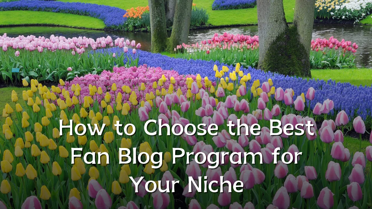 How to Choose the Best Fan Blog Program for Your Niche