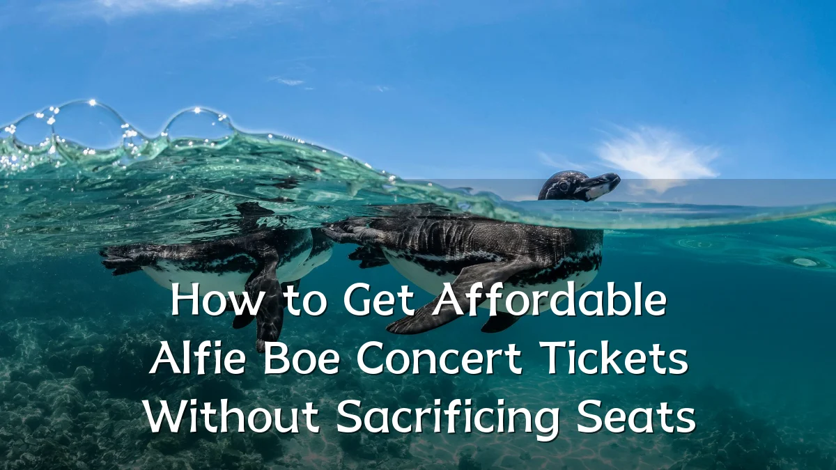 How to Get Affordable Alfie Boe Concert Tickets Without Sacrificing Seats