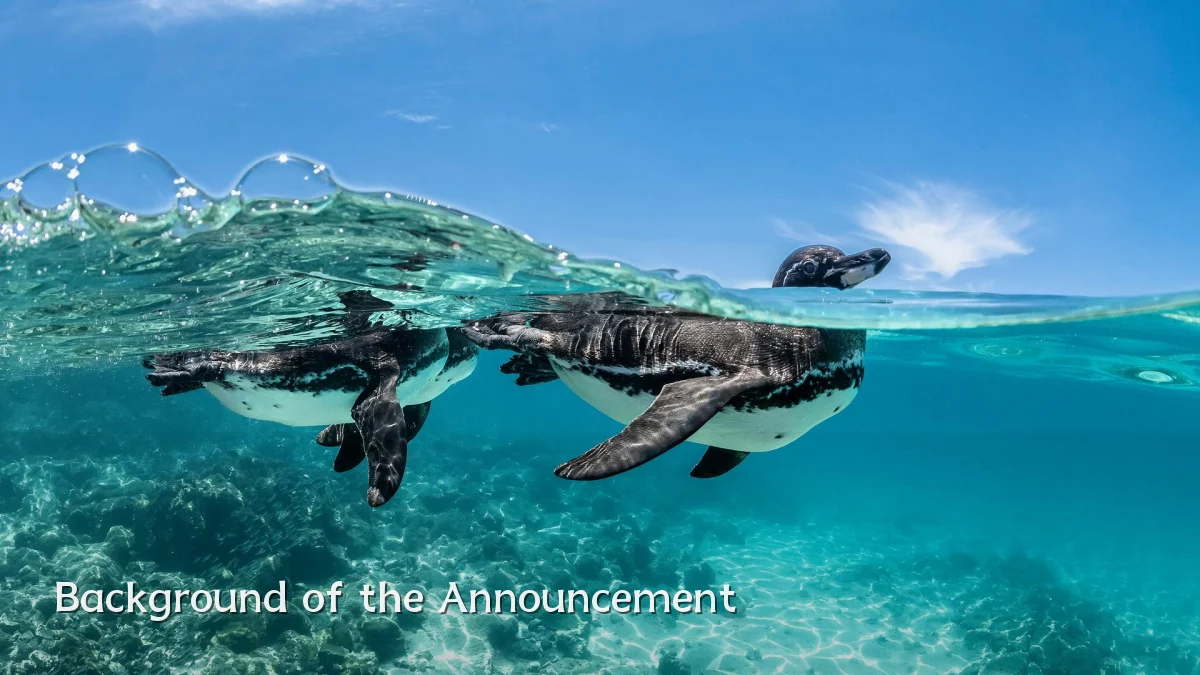Background of the Announcement