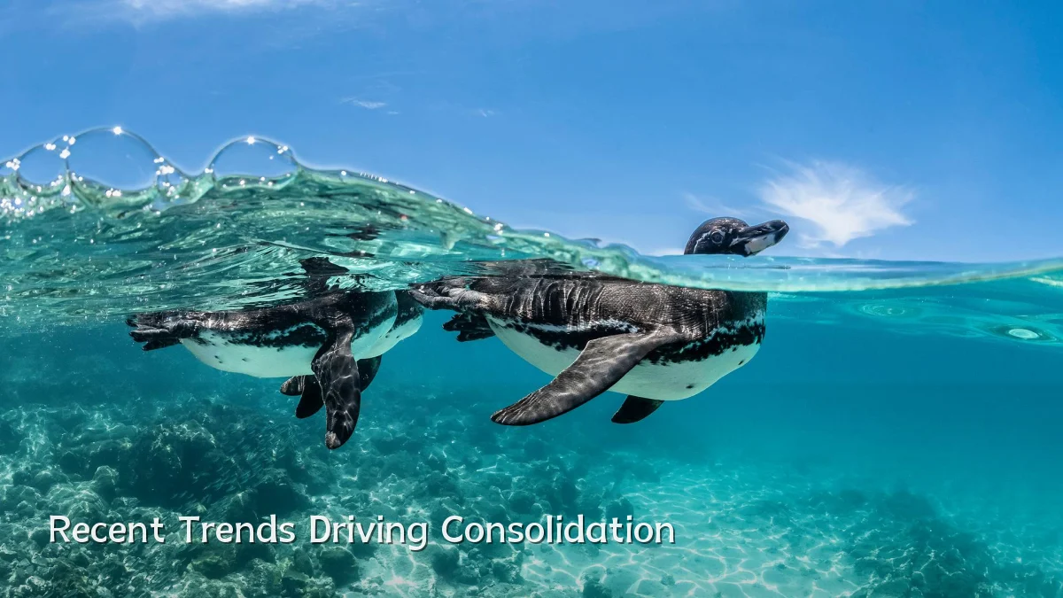 Recent Trends Driving Consolidation