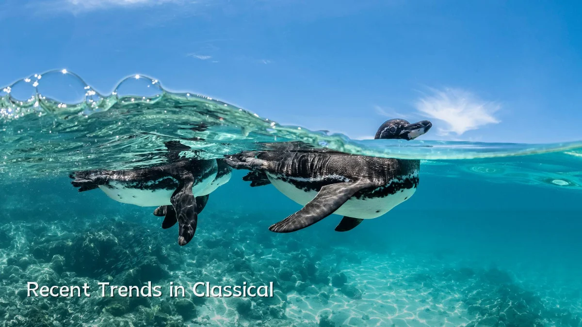 Recent Trends in Classical