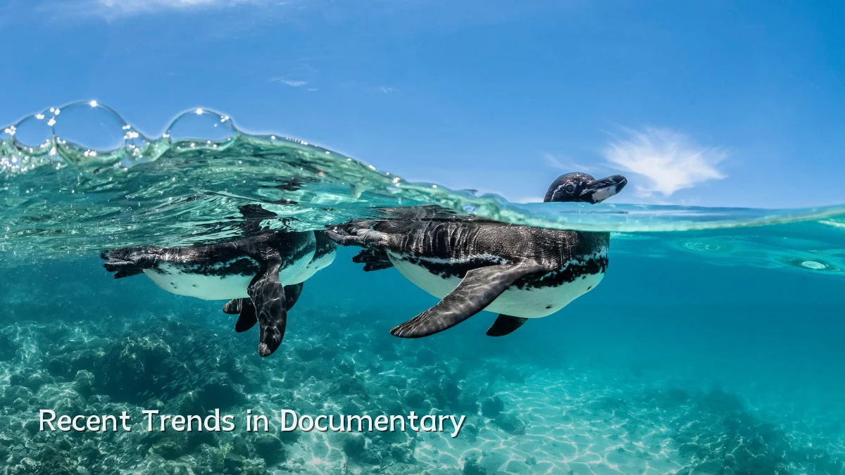 Recent Trends in Documentary