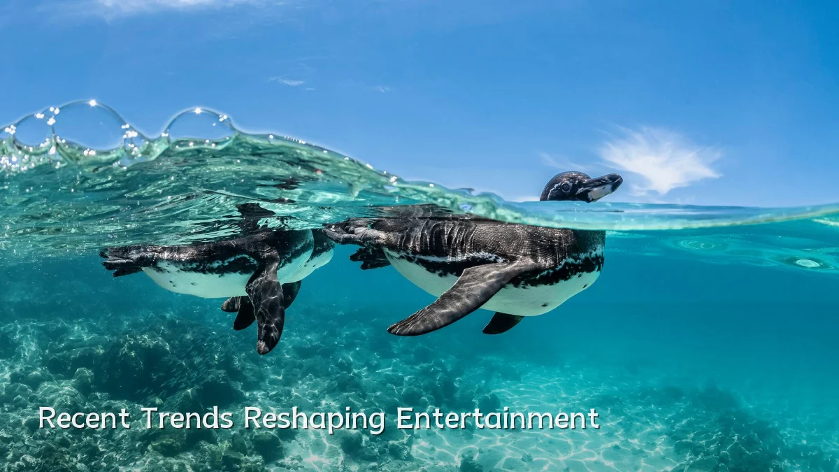 Recent Trends Reshaping Entertainment