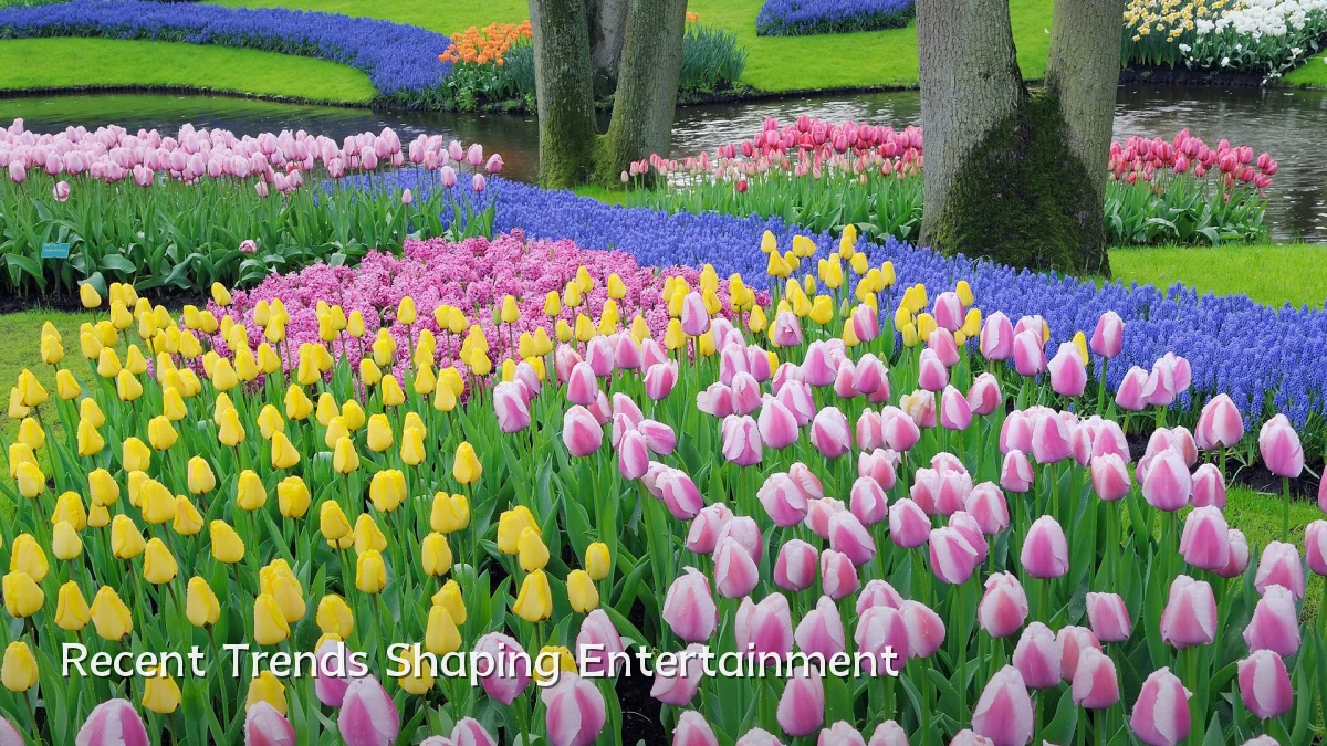 Recent Trends Shaping Entertainment