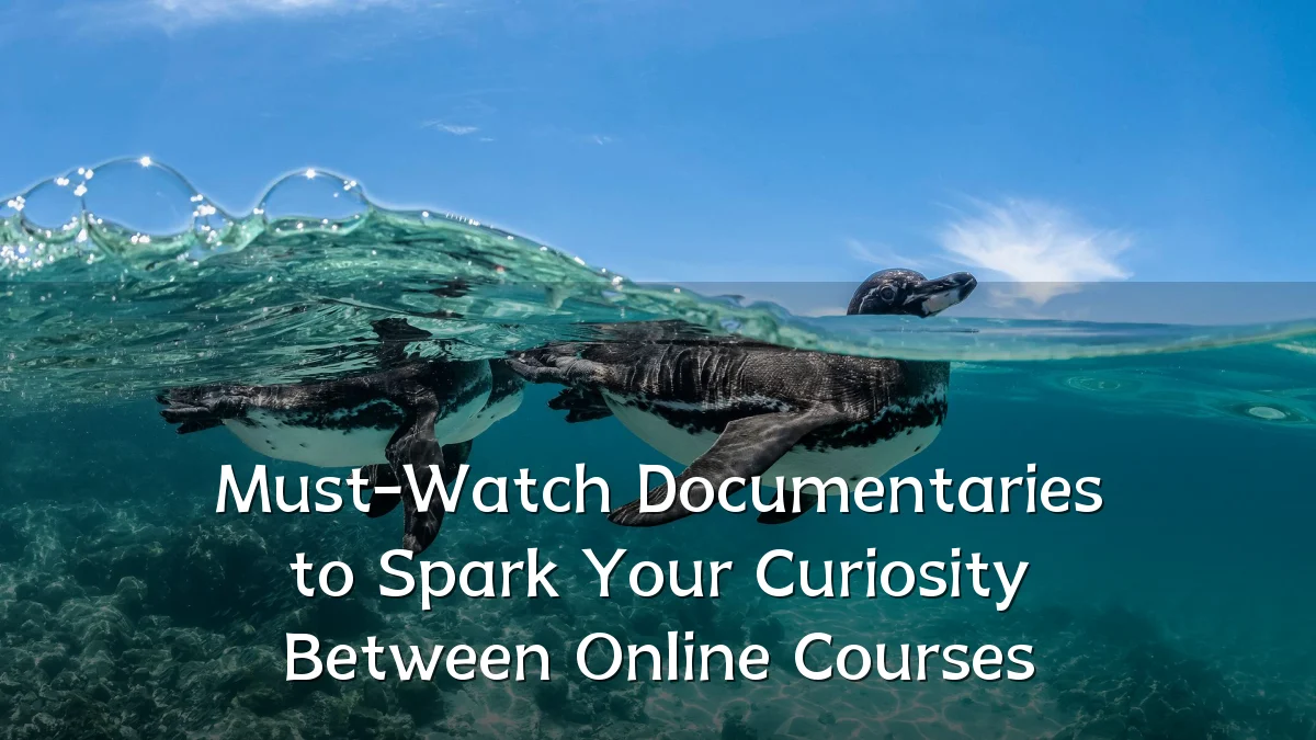 Must-Watch Documentaries to Spark Your Curiosity Between Online Courses