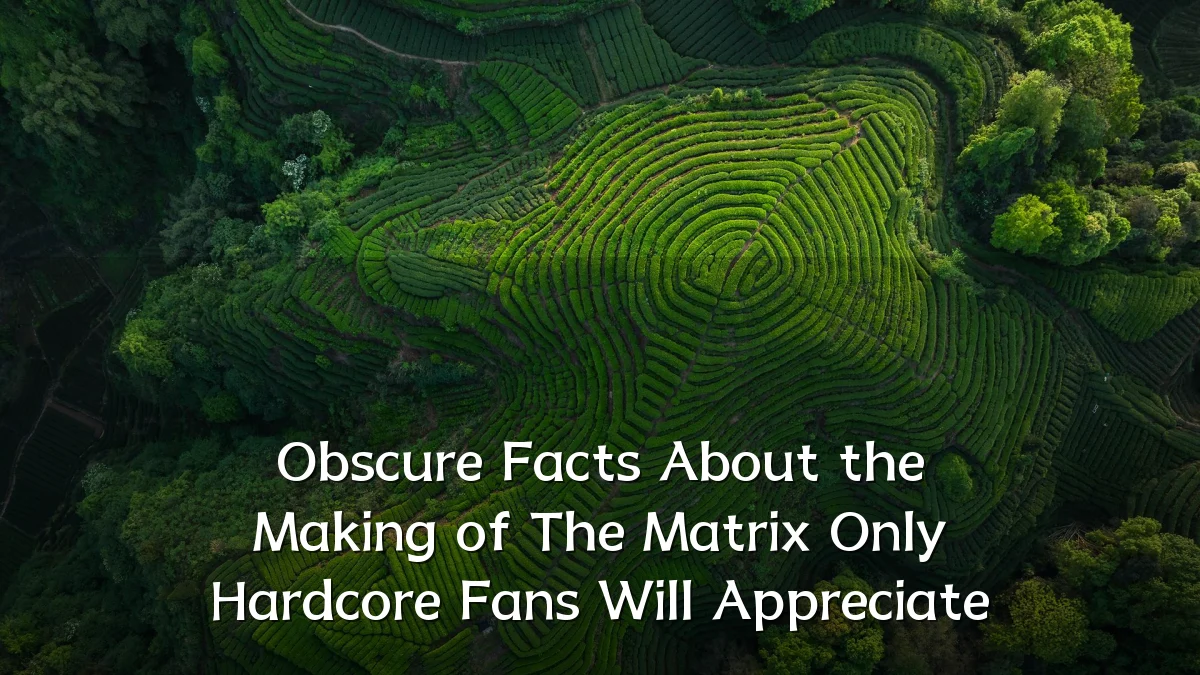 Obscure Facts About the Making of The Matrix Only Hardcore Fans Will Appreciate