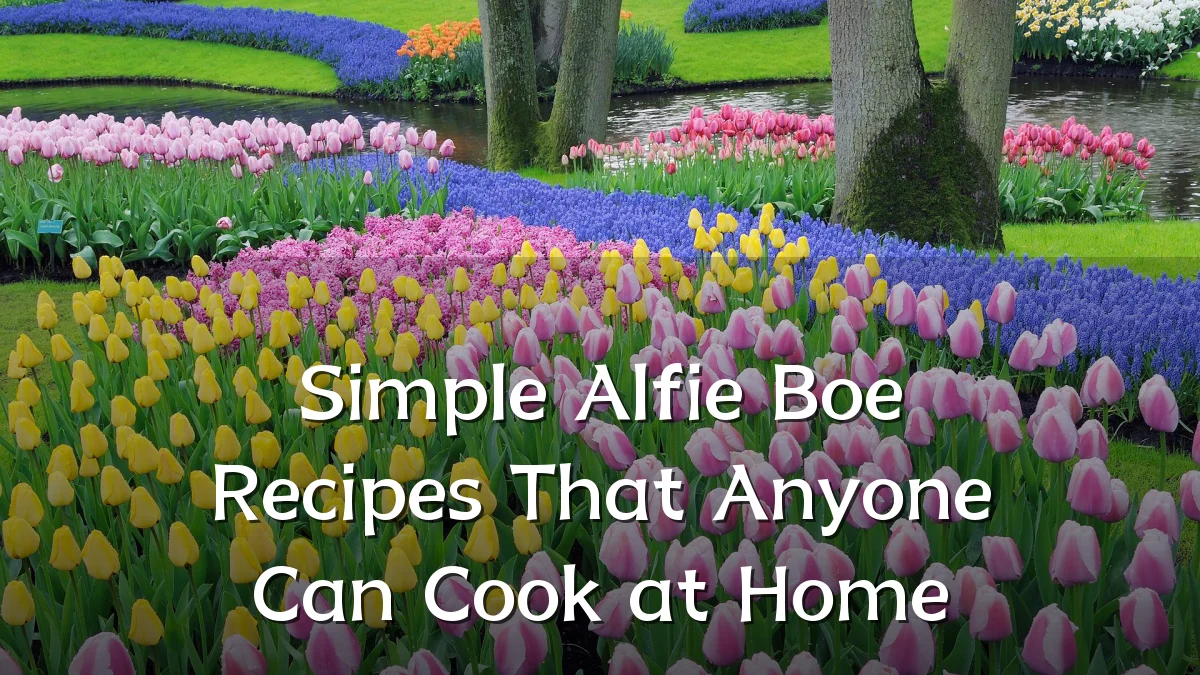 Simple Alfie Boe Recipes That Anyone Can Cook at Home