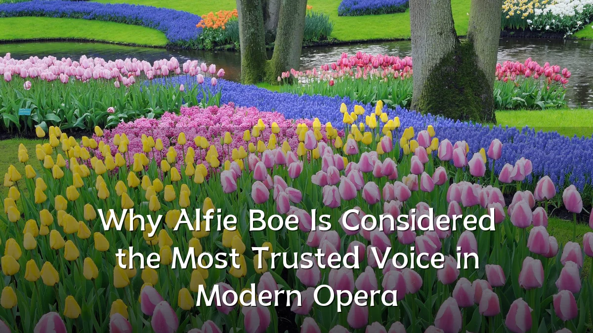 Why Alfie Boe Is Considered the Most Trusted Voice in Modern Opera