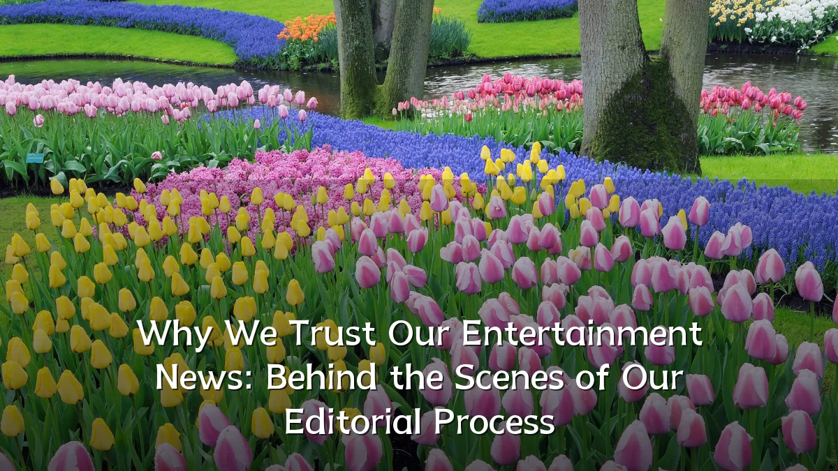 Why We Trust Our Entertainment News: Behind the Scenes of Our Editorial Process
