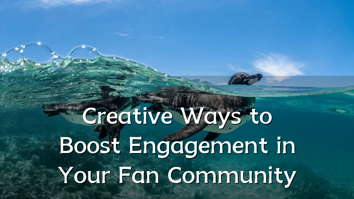 Creative Ways to Boost Engagement in Your Fan Community