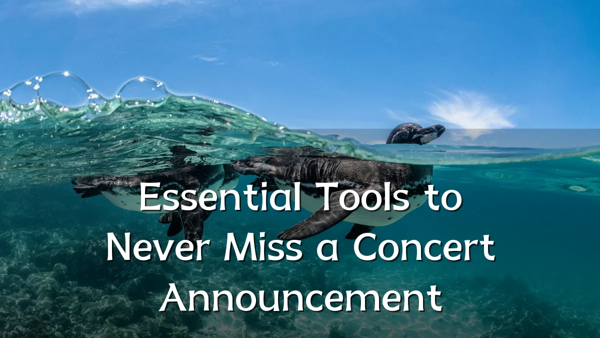 Essential Tools to Never Miss a Concert Announcement