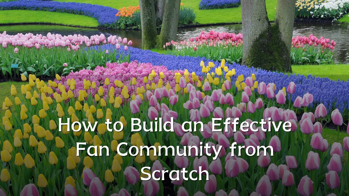 How to Build an Effective Fan Community from Scratch