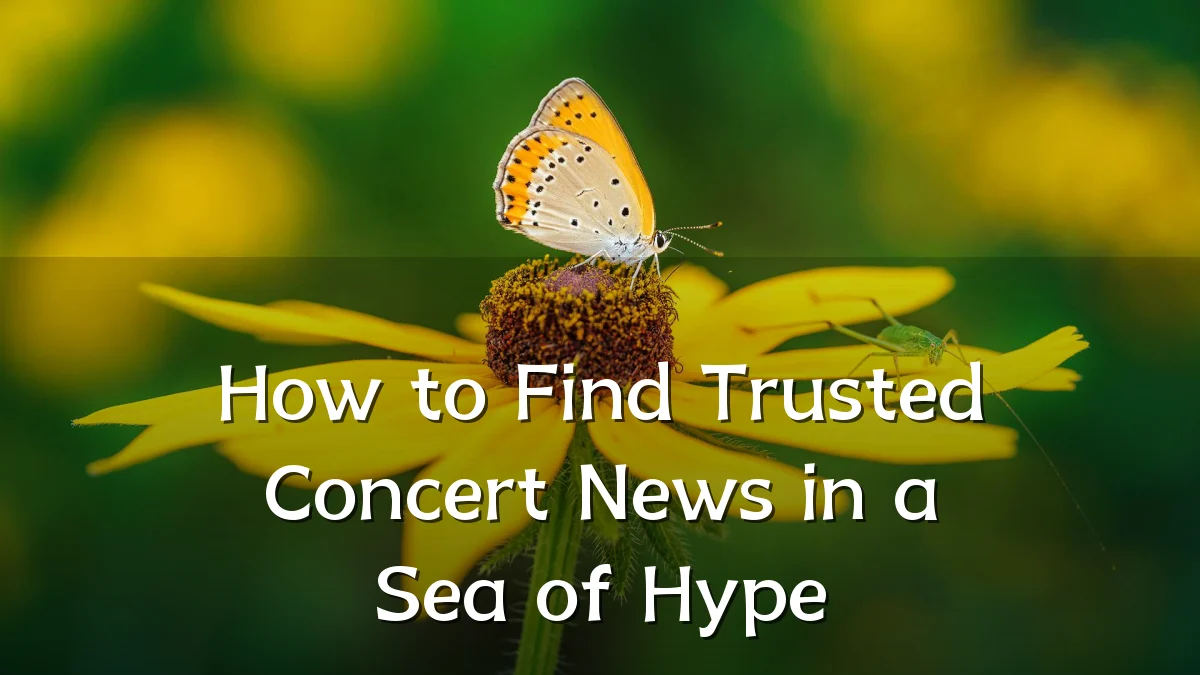 How to Find Trusted Concert News in a Sea of Hype