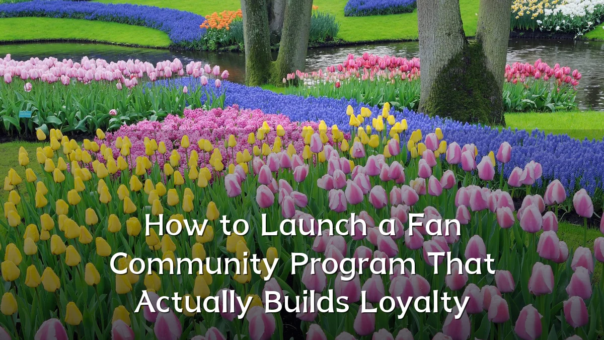 How to Launch a Fan Community Program That Actually Builds Loyalty