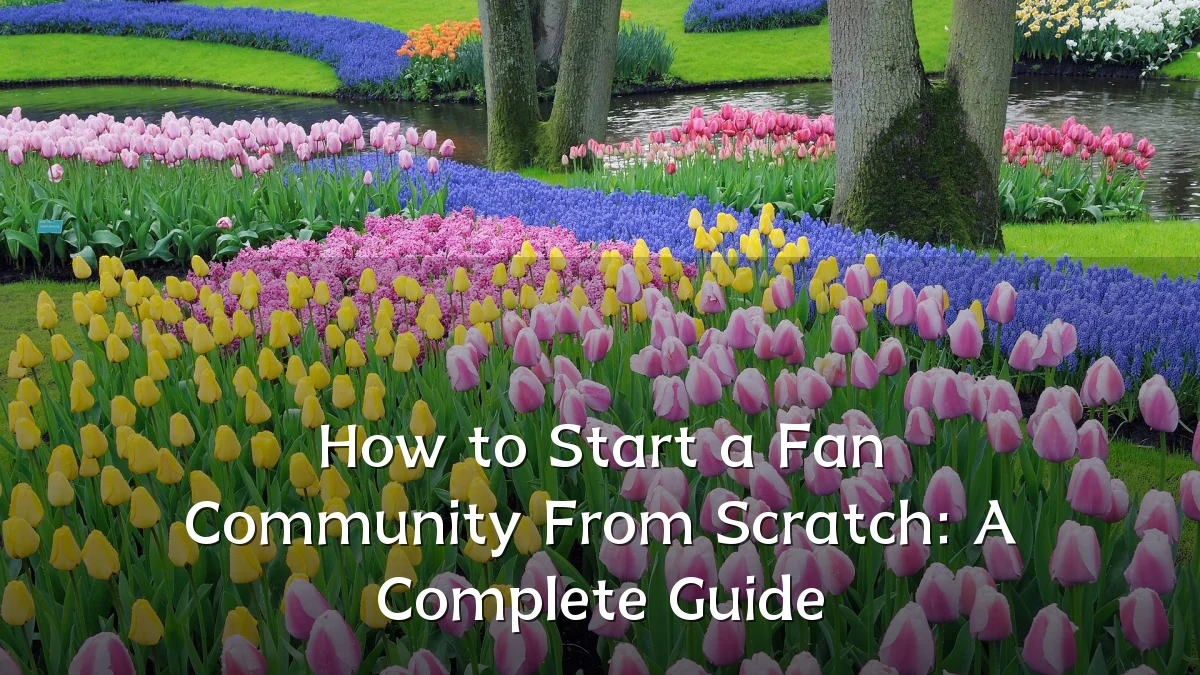 How to Start a Fan Community From Scratch: A Complete Guide
