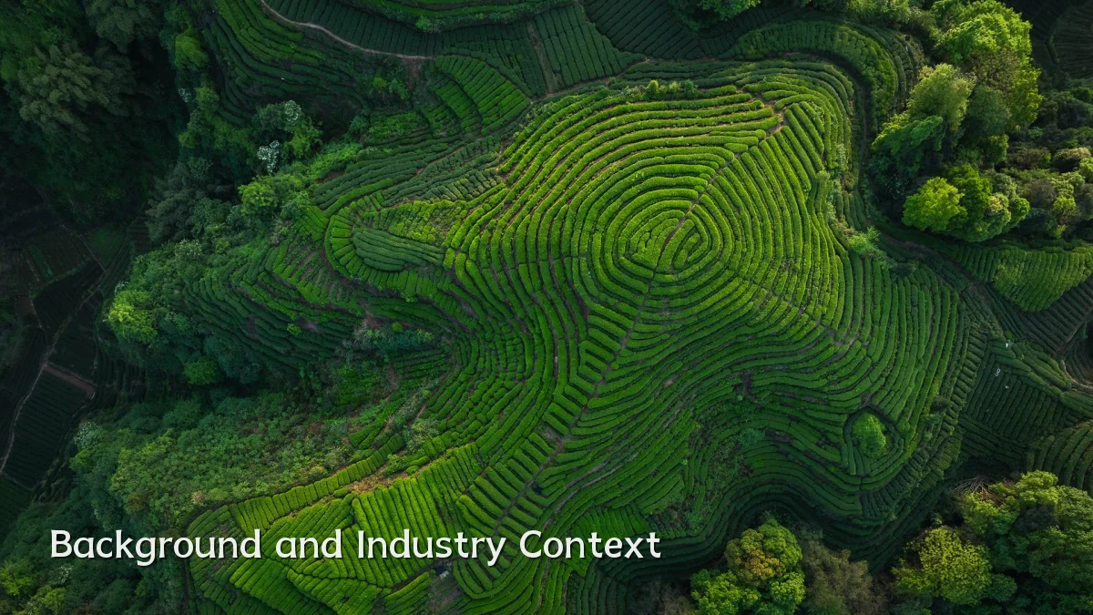 Background and Industry Context