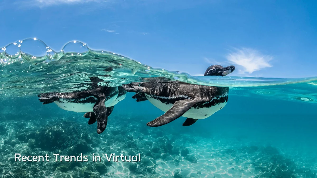 Recent Trends in Virtual