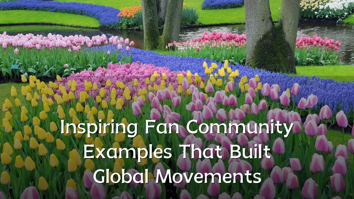 Inspiring Fan Community Examples That Built Global Movements