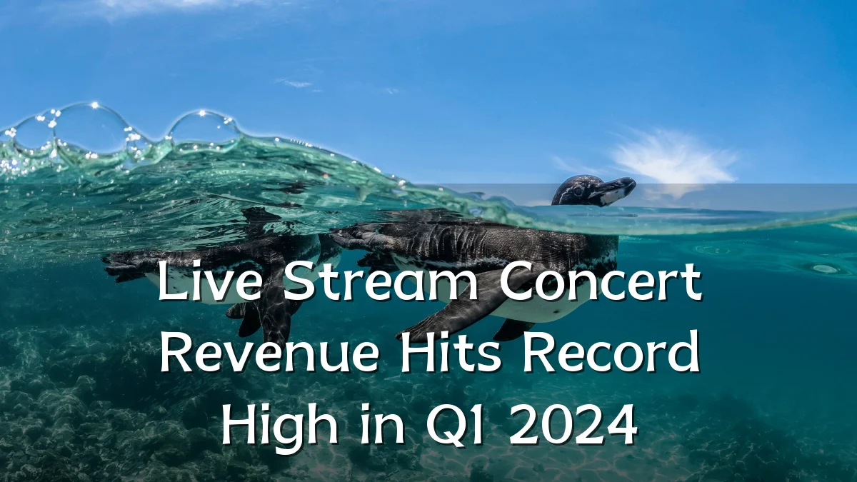 Live Stream Concert Revenue Hits Record High in Q1 2024