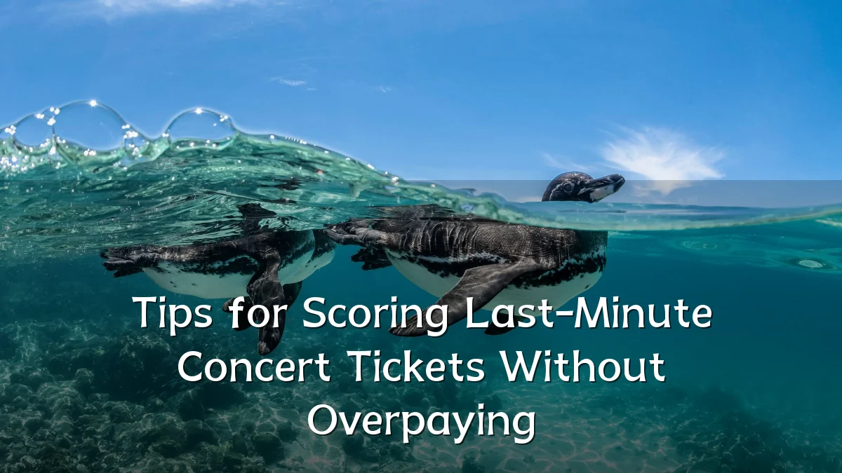 Tips for Scoring Last-Minute Concert Tickets Without Overpaying