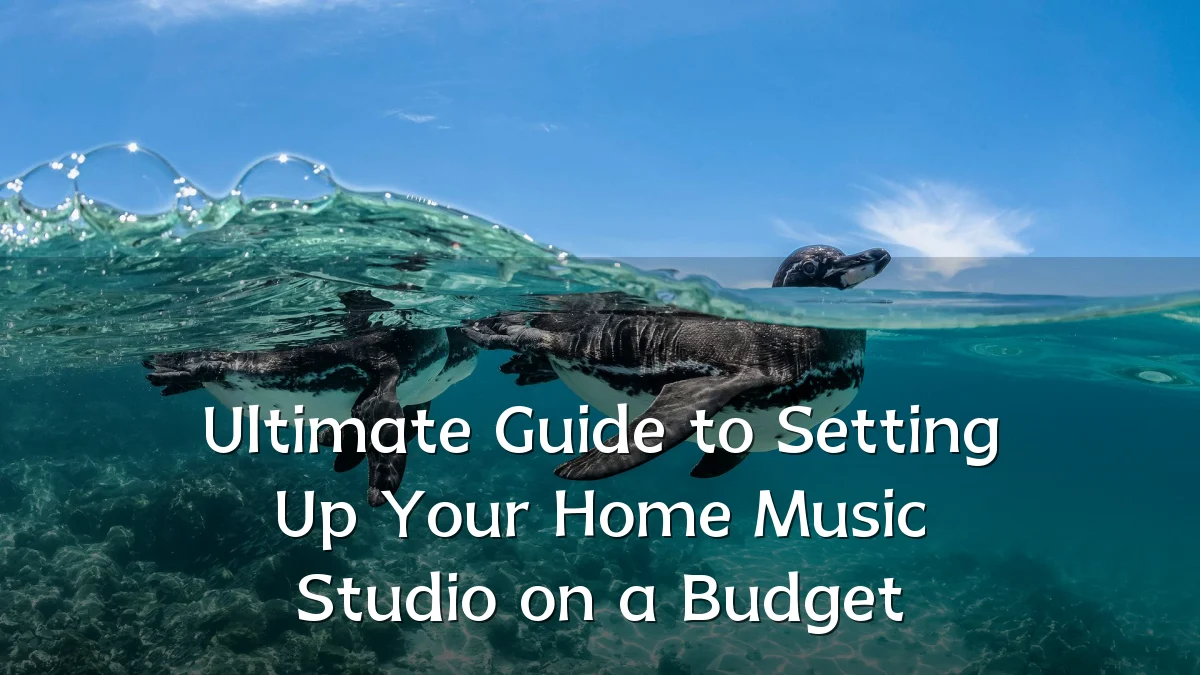 Ultimate Guide to Setting Up Your Home Music Studio on a Budget