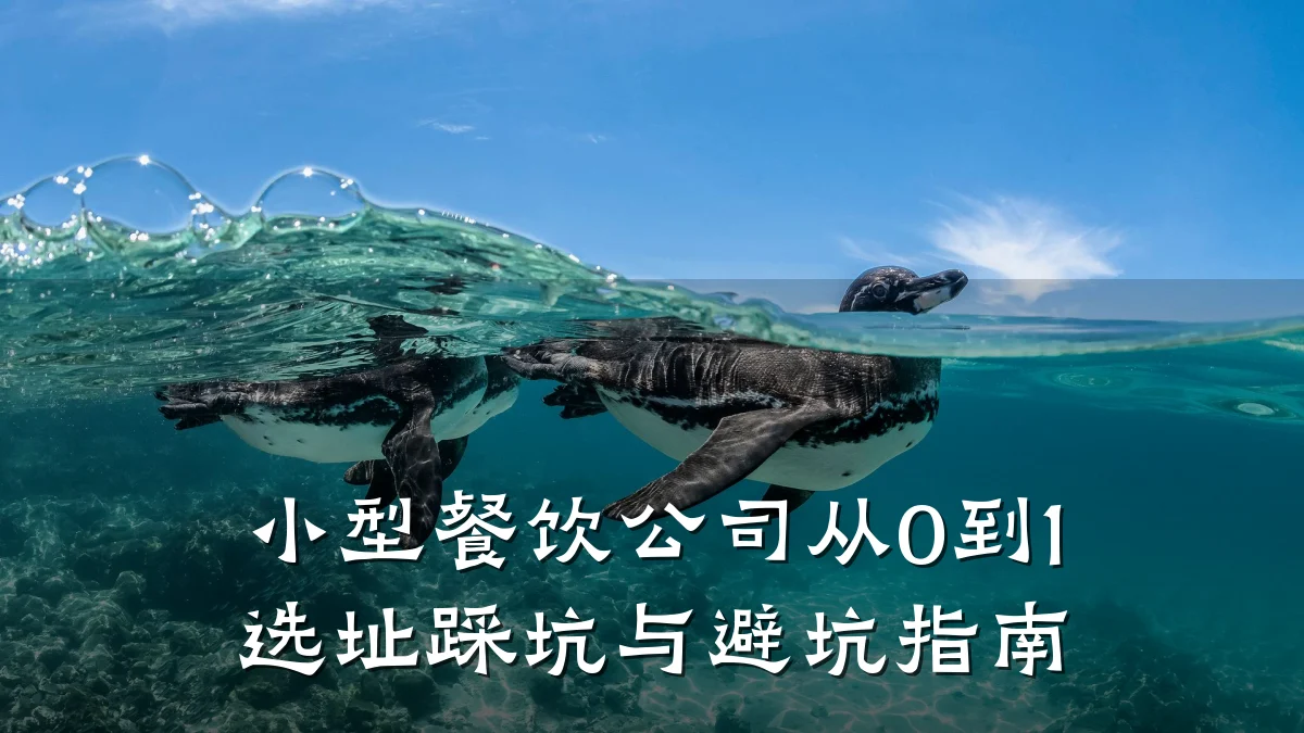 小型餐饮公司从0到1选址踩坑与避坑指南