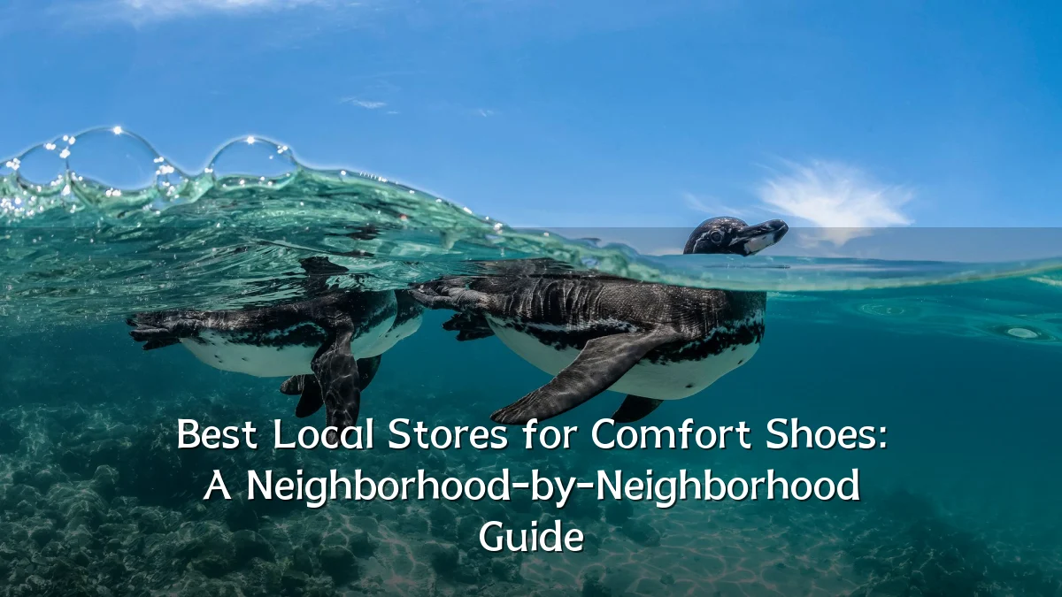 Best Local Stores for Comfort Shoes: A Neighborhood-by-Neighborhood Guide