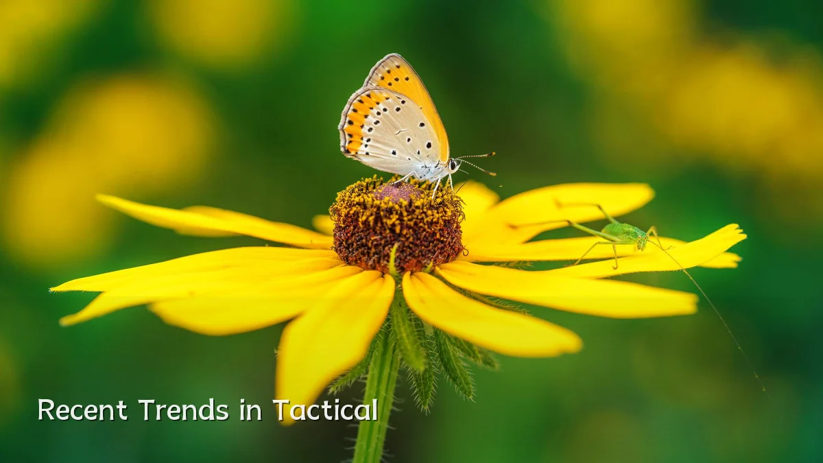 Recent Trends in Tactical